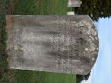 image of grave number 785600